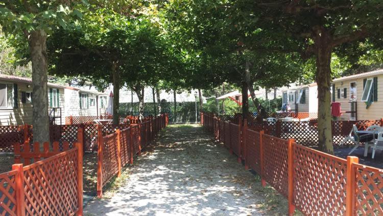 Villaggio Camping Maratea Exterior foto