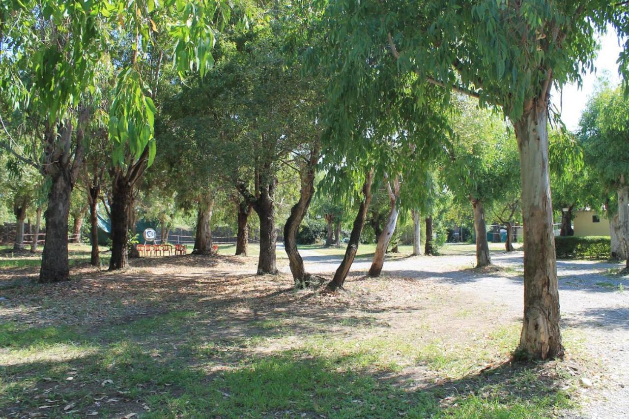 Villaggio Camping Maratea Exterior foto